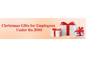 Buy Christmas Corporate Gifts Under 500 Rupees Online in India