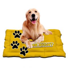 Durable and Made of a Fabric Material Petr Mat soft to the touch, providing comfort for your pet